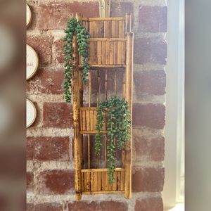 Bamboo plant/ mail holder